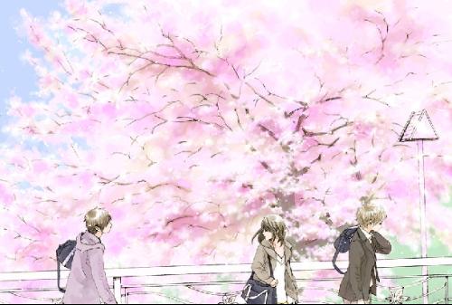 蘑菇tv网页版